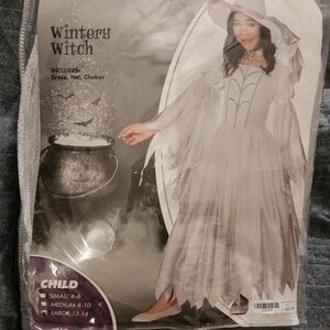 Spirit Shimmering White Witch Costume